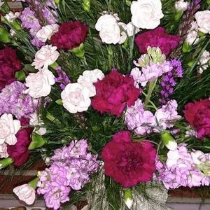 Meet your Posher, Rose